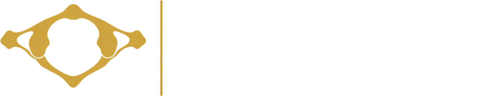 Atlas Representation — healthcare influencer marketing agency